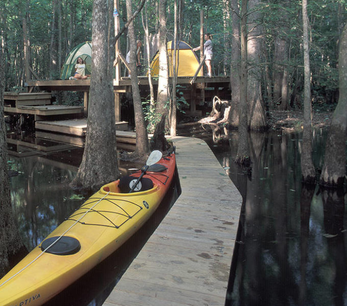Camping trip in the forest.